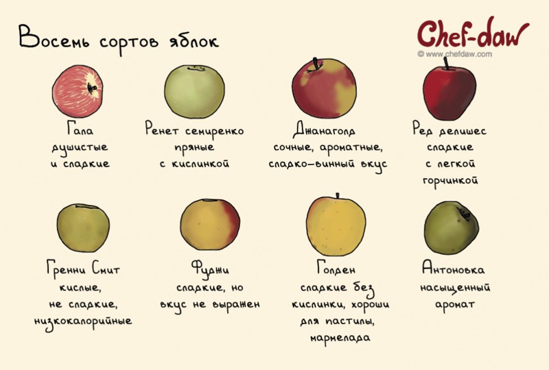 20 шпаргалок, которые пригодятся на кухне Шпаргалки, кухня, открытки