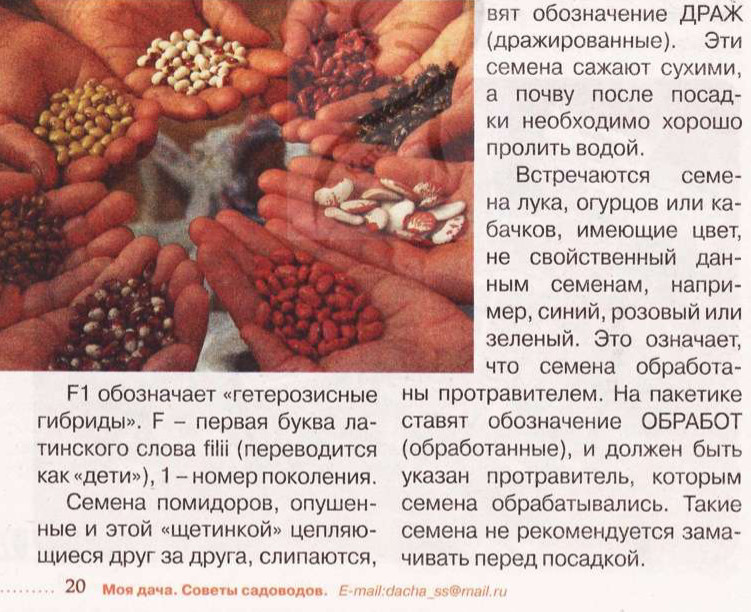 Что означают картинки на пакетиках с семенами